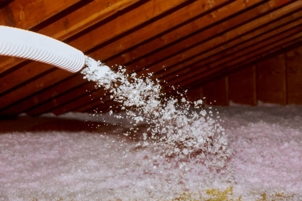 Best Residential Insulation Services  in Ensley, FL
