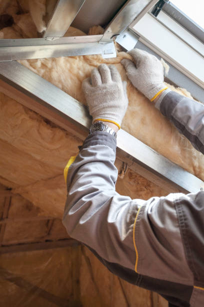 Best Soundproof Insulation Installation  in Ensley, FL