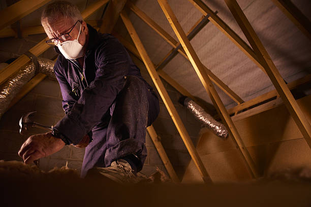 Insulation Repair Services in Ensley, FL