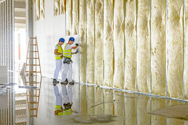 Best Insulation Contractor Near Me  in Ensley, FL